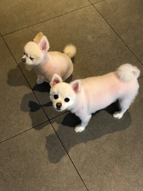 설화참숯닭갈비 이미지