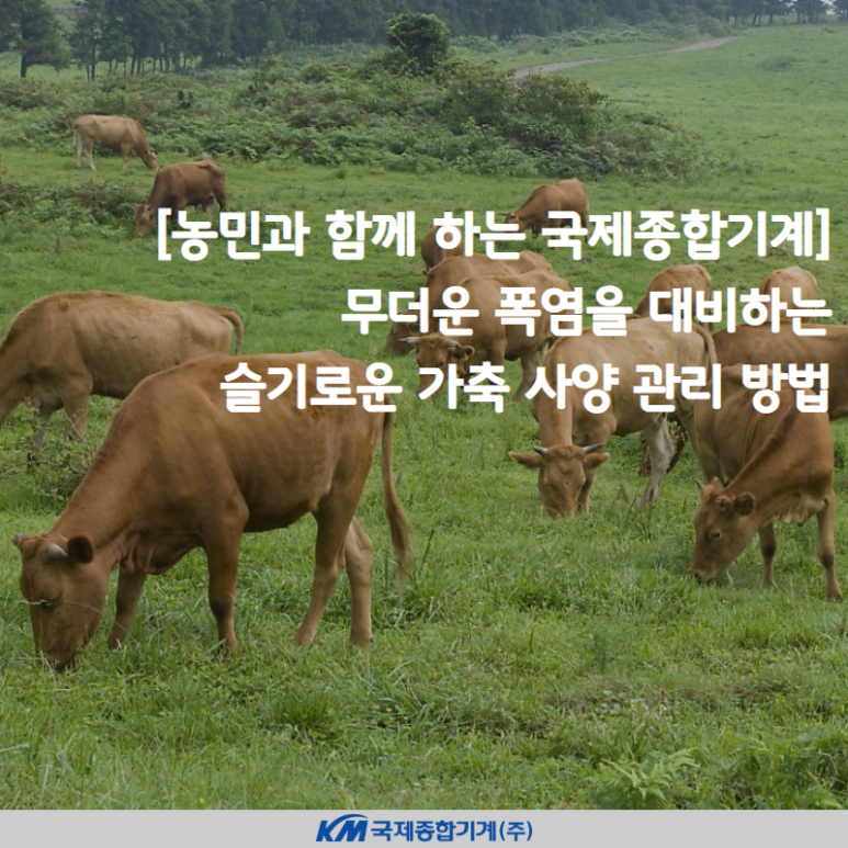국제종합관리 이미지
