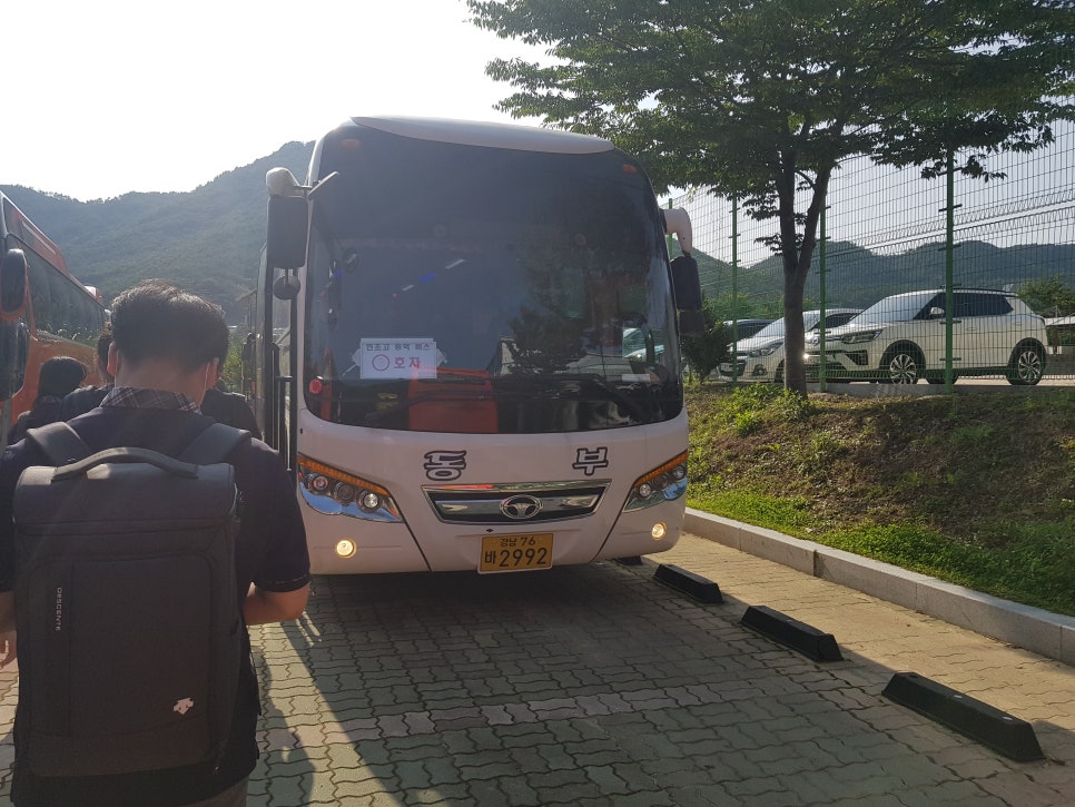 대우여행사 이미지