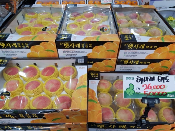 총각네수지 이미지