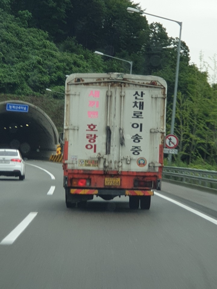 더앤 이미지