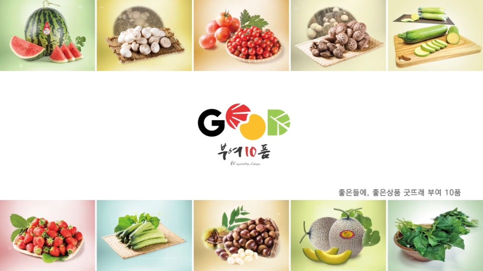 백마버섯영농조합법인 이미지