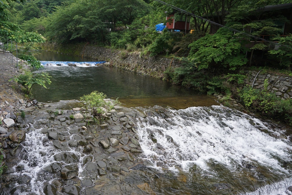 보령토굴젓갈 이미지
