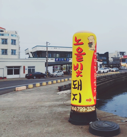 노을빛돼지 이미지