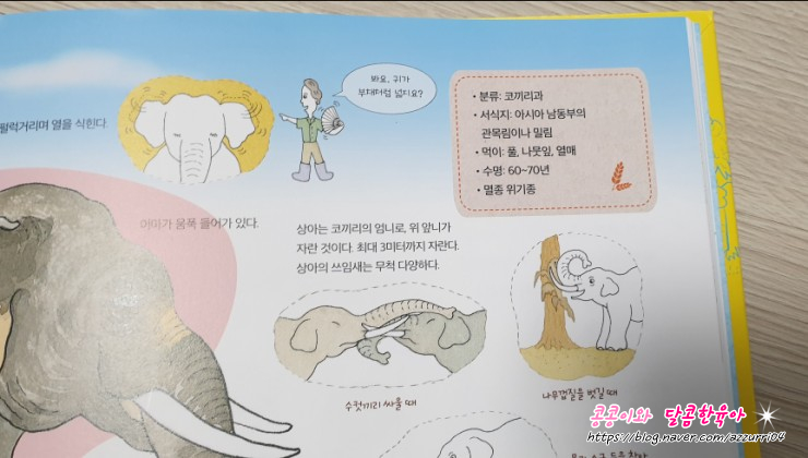 오물오물 이미지