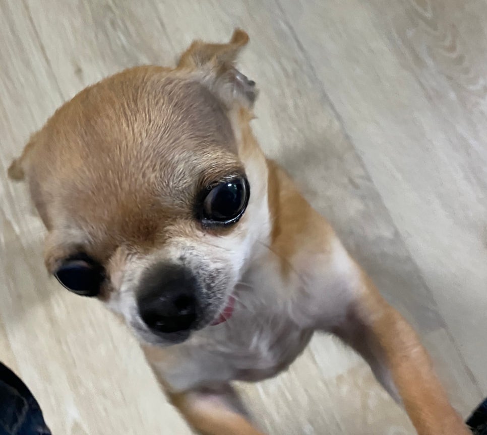 피자나라치킨공주김포 이미지