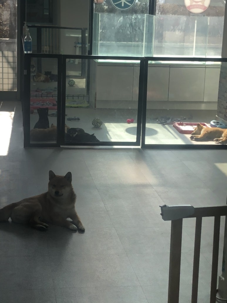 짱구네 낙지집 이미지