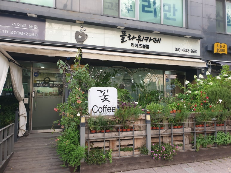 리에즈블룸 이미지