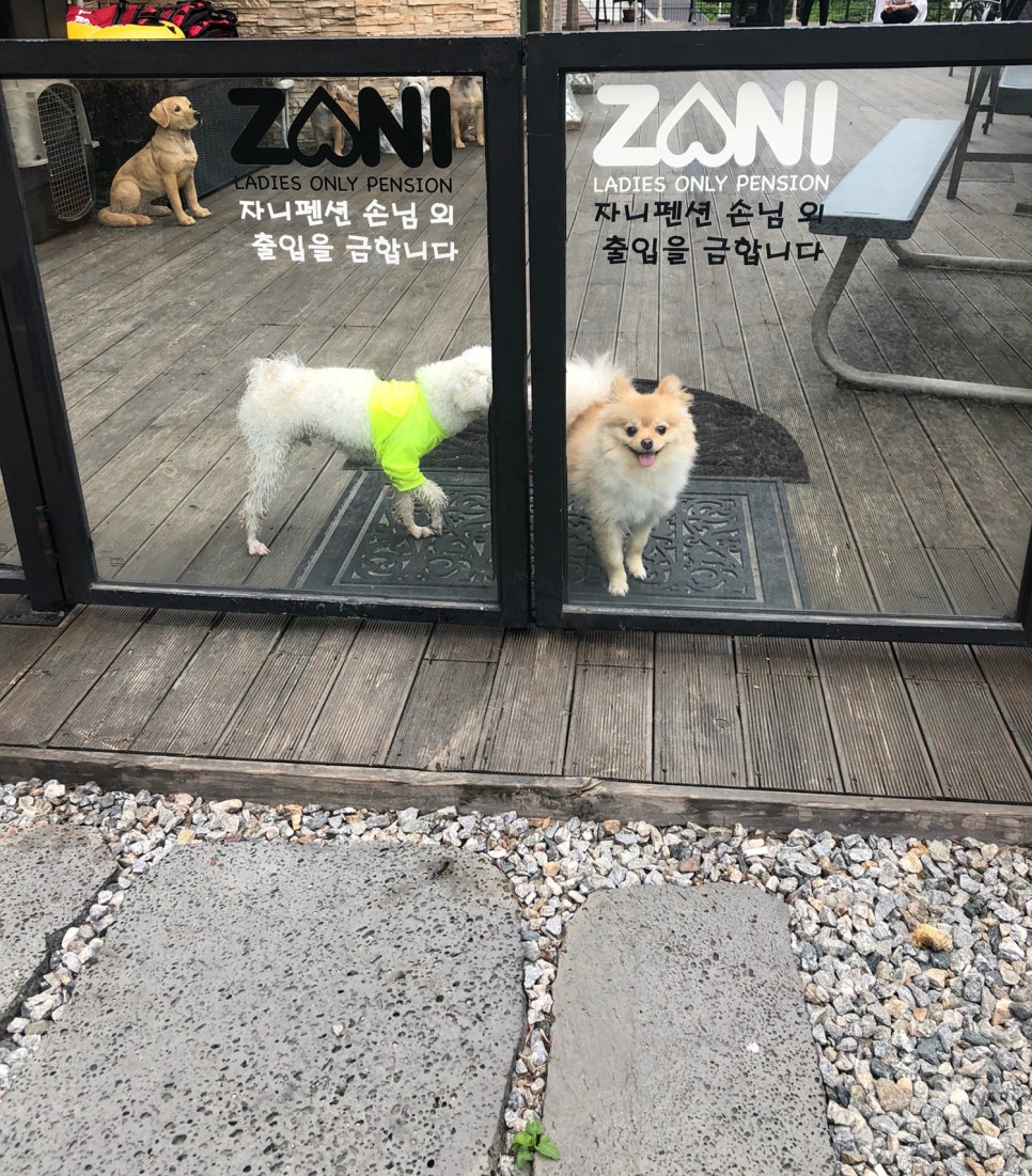 자니펜션 이미지