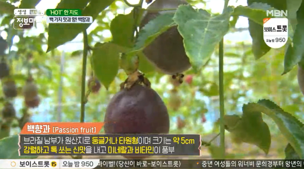 플랜미디어 이미지