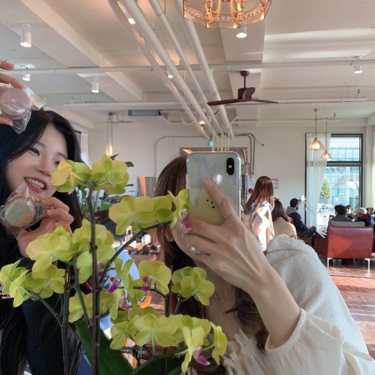 스페이스디엠 이미지
