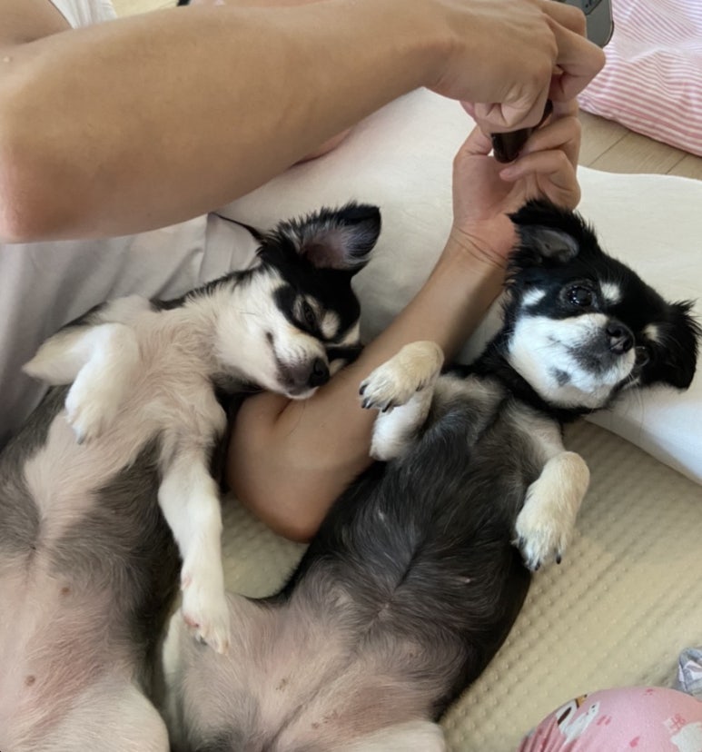 부베베 이미지