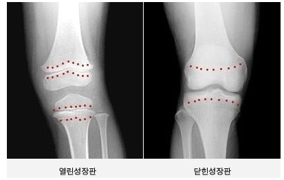 경희솔한의원 이미지