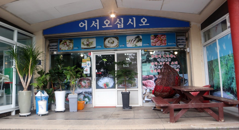 이조은관광 이미지