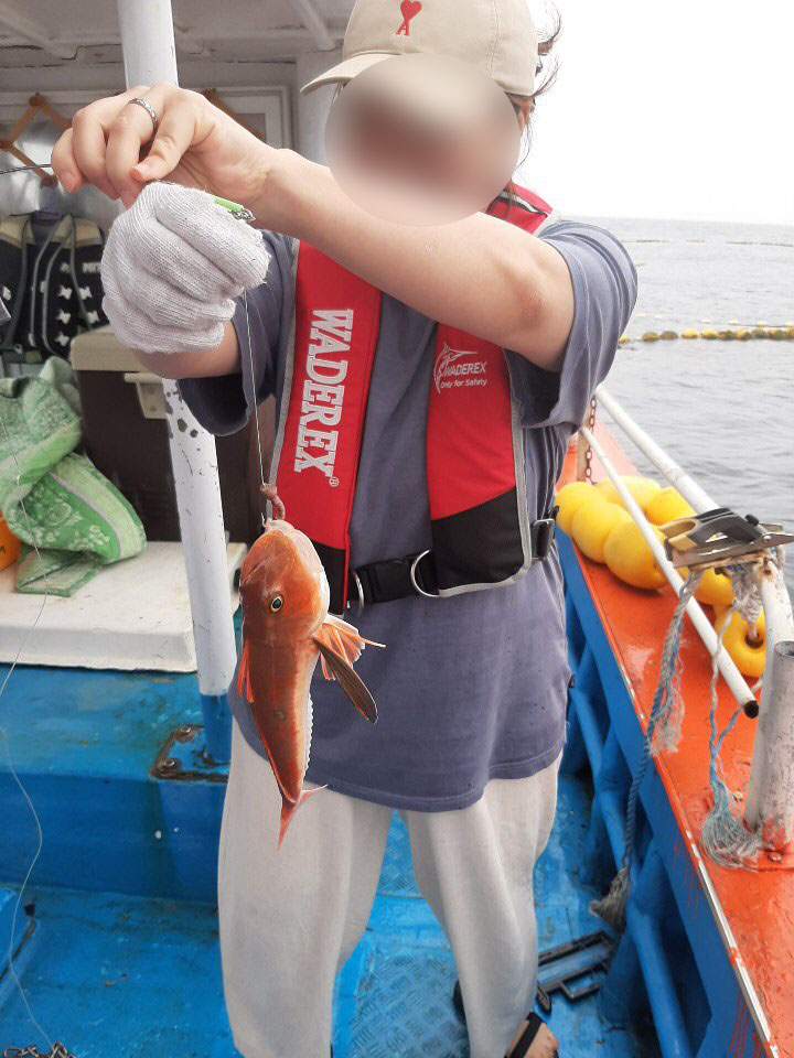 삼척바다배낚시체험 이미지