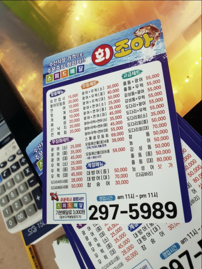 회조아 이미지
