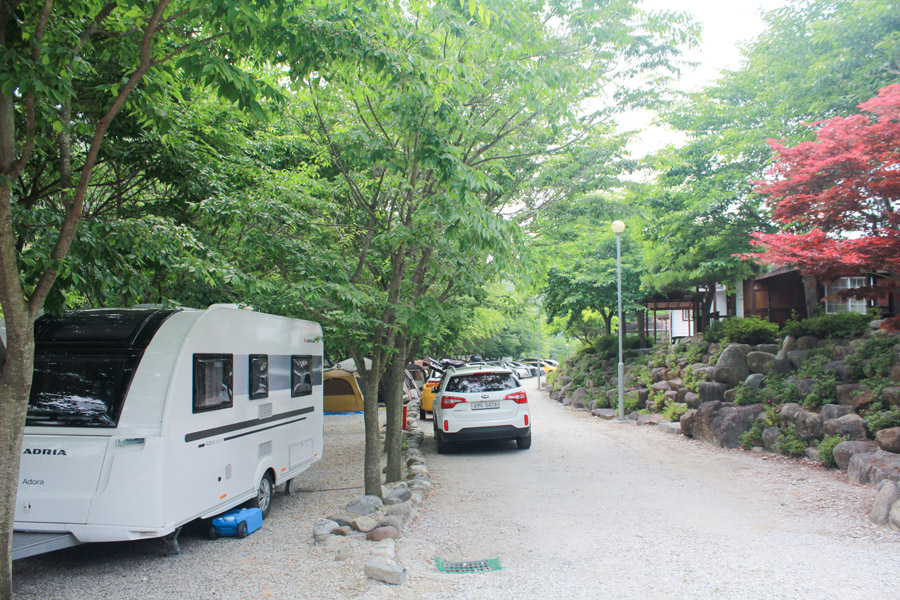 계곡 좋은 펜션 야영장 이미지