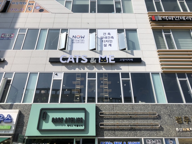 캣츠앤미 이미지