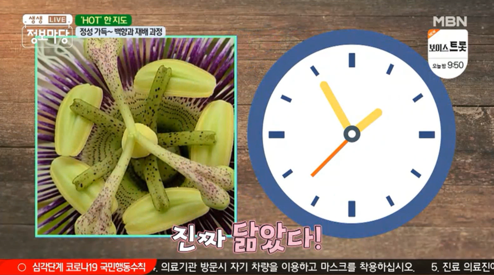 플랜미디어 이미지