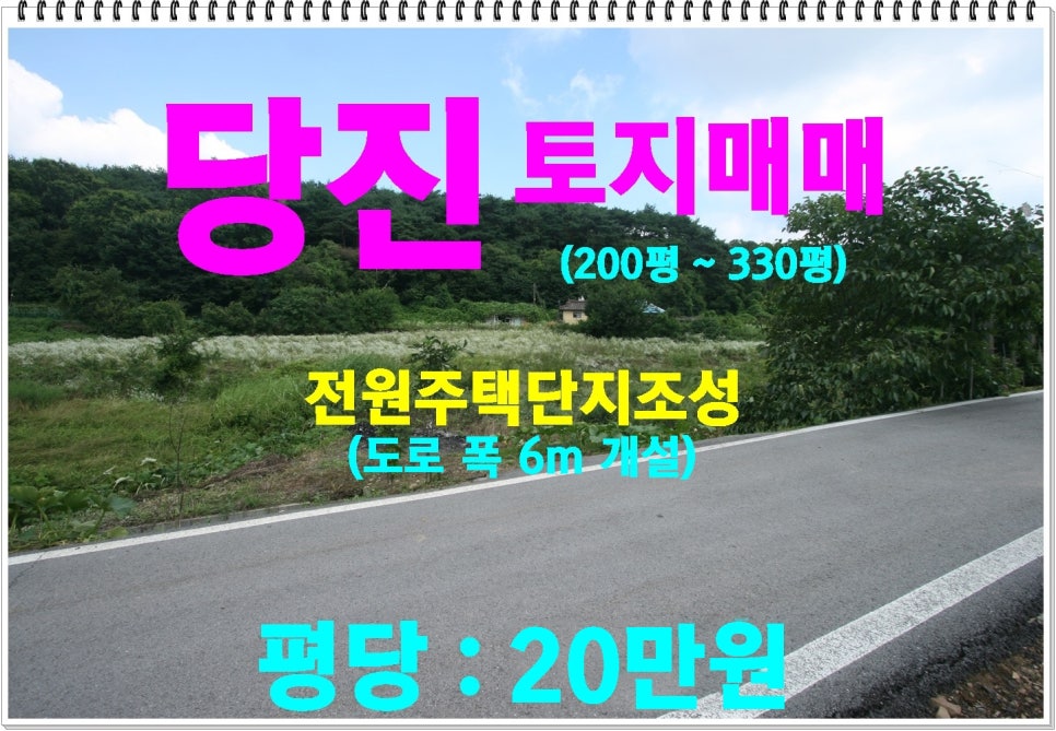 정미농협주유소 이미지