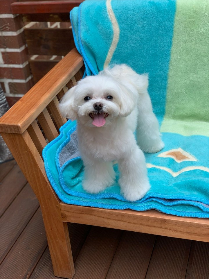 동화미용 이미지