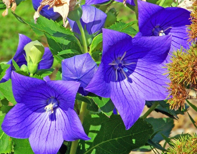 꽃핀다;방 이미지