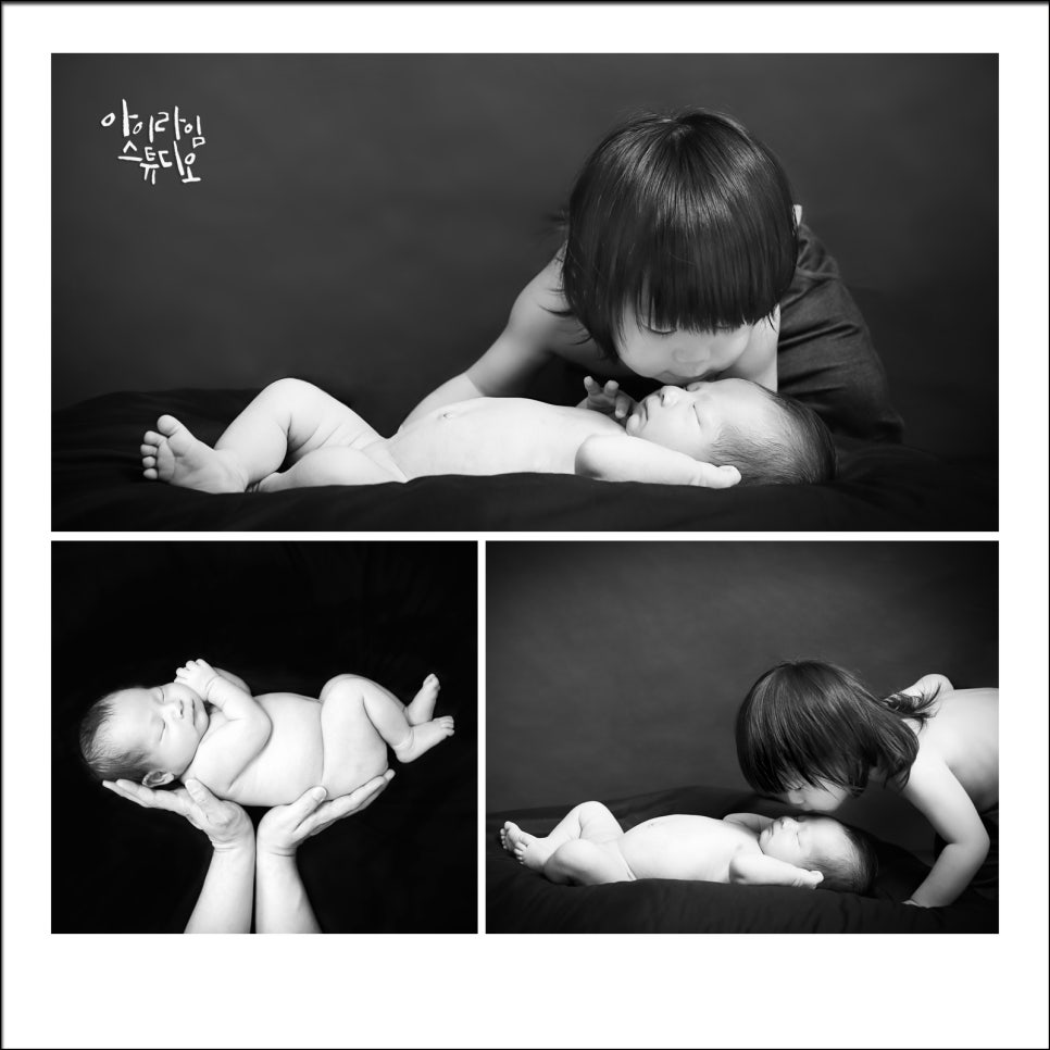아이라임스튜디오 이미지