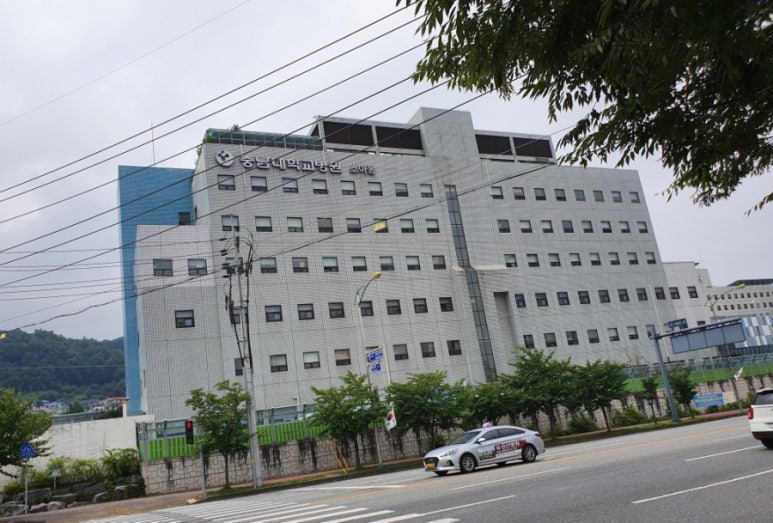 충남대학교병원(소아병동) 이미지