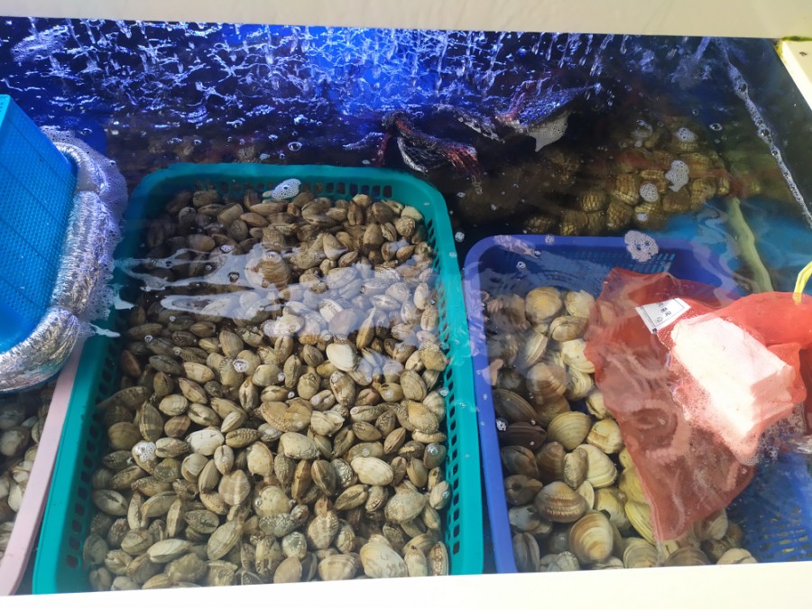 조개를탐하다 이미지