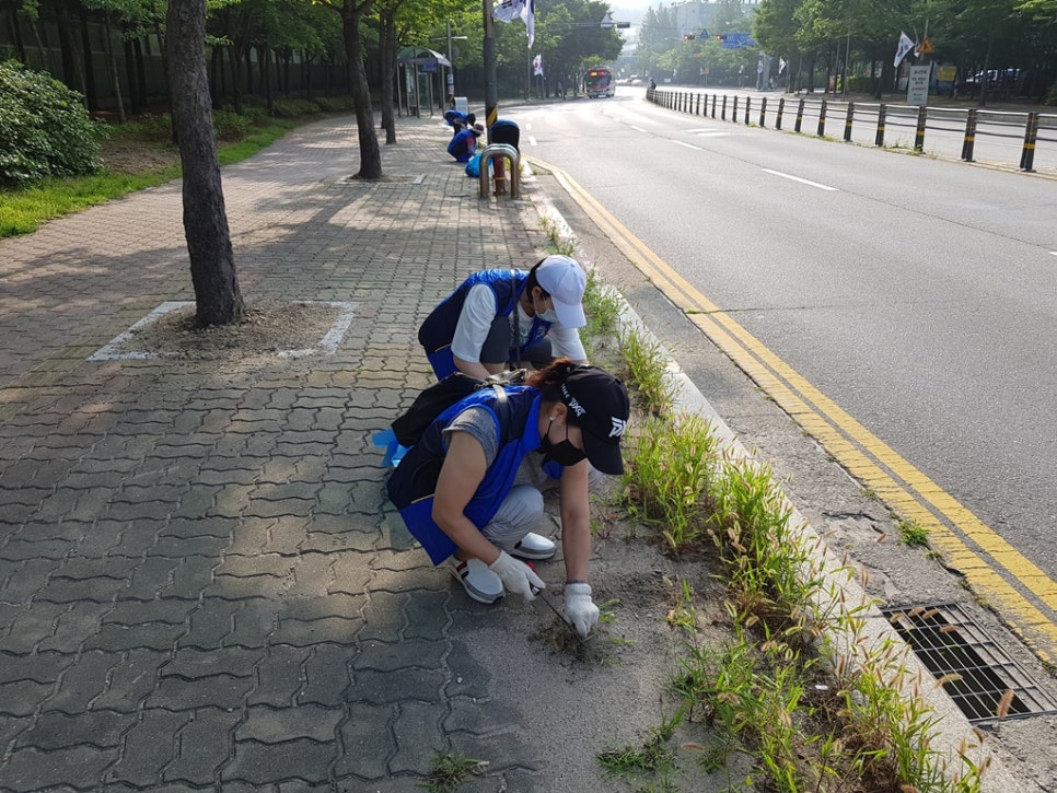 더아름다운환경 이미지