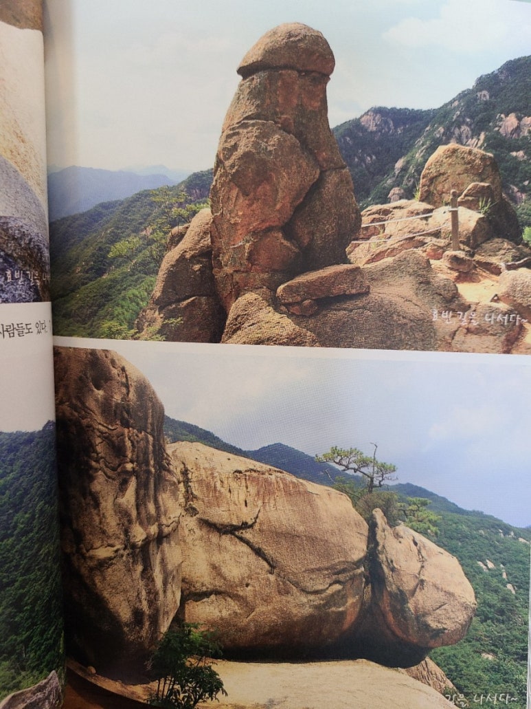 효빈나라 이미지
