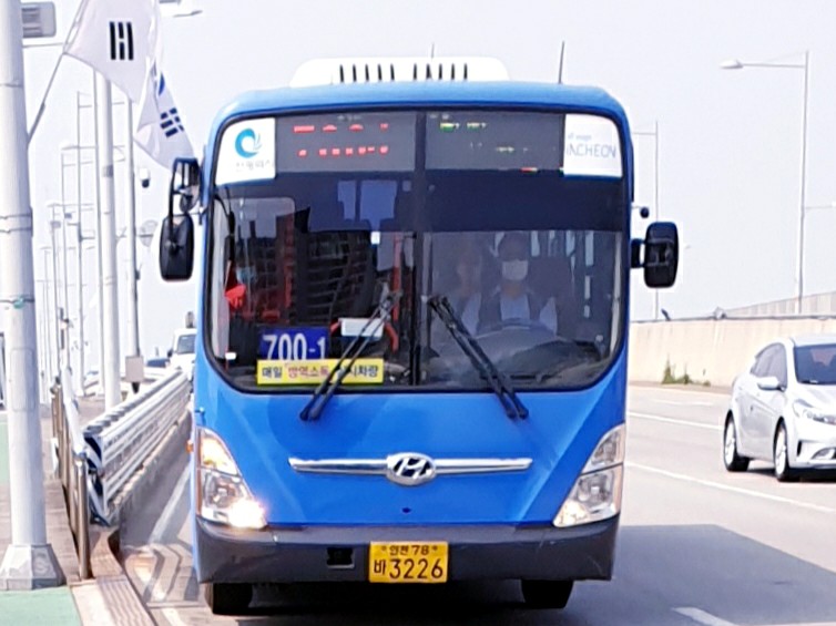 대명나무병원 이미지