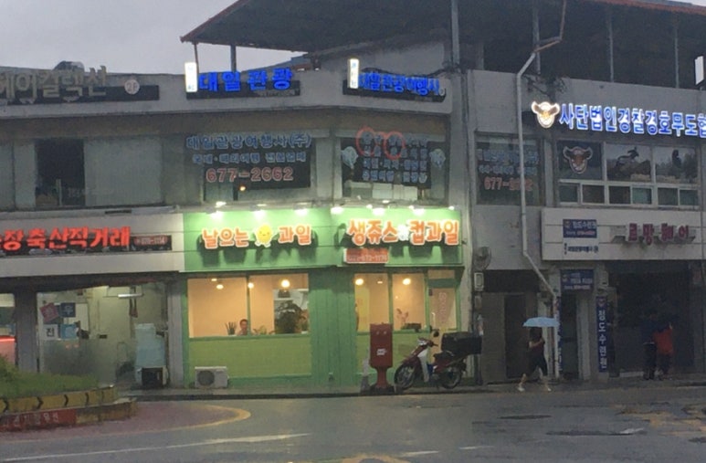 날으는과일 이미지