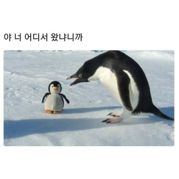 교동면옥대구 이미지