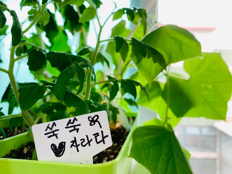 샬롬케어센터 이미지