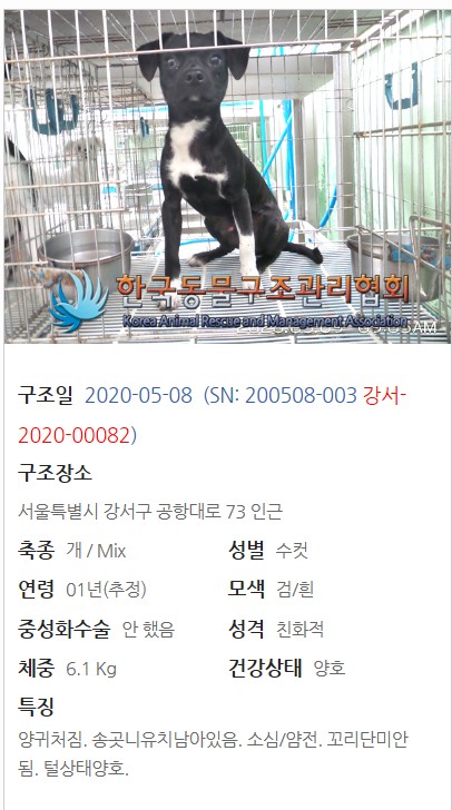 몽돌2020 이미지