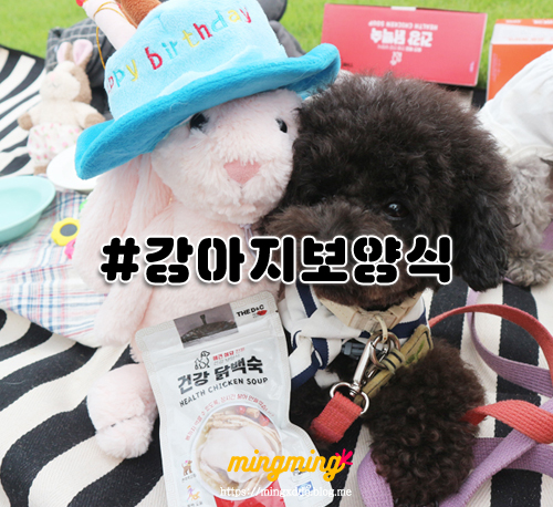 더디앤씨 이미지