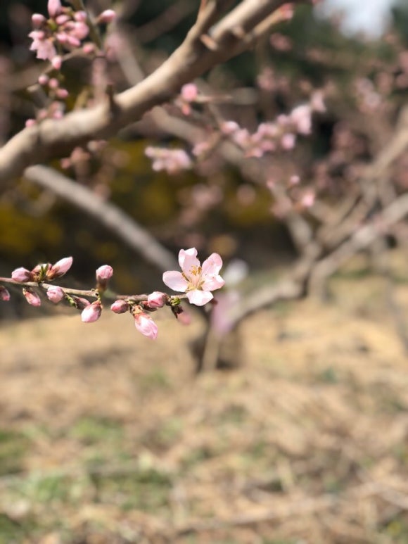 BHC서충주 이미지
