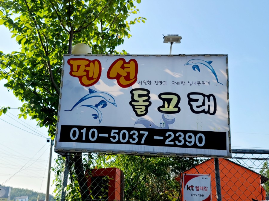 돌고래펜션 이미지