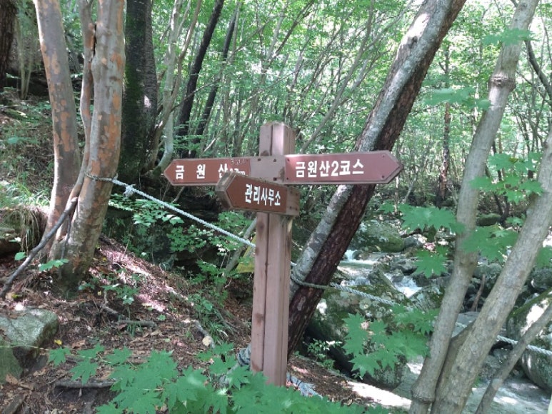 금원산자연휴양림 이미지