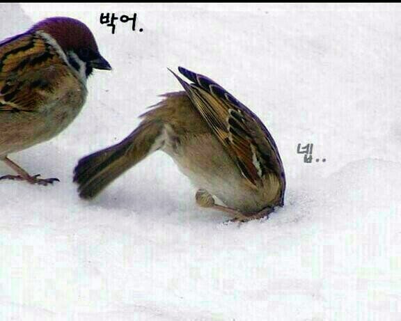 하마커피 이미지