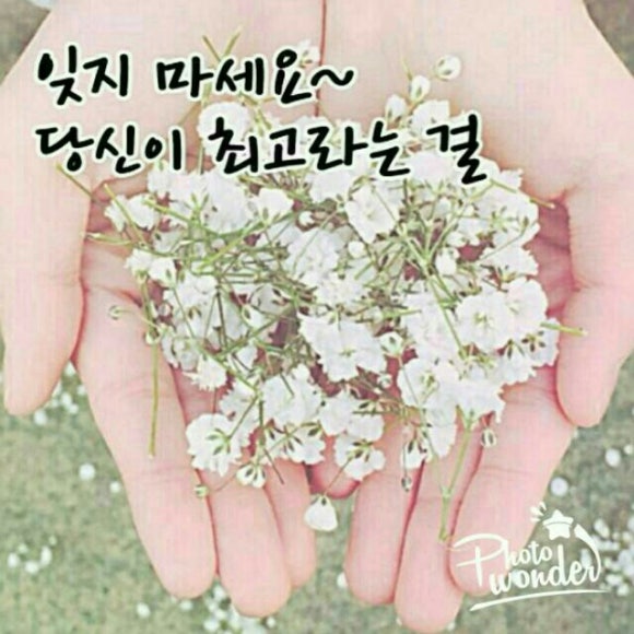 나폴리네 이미지