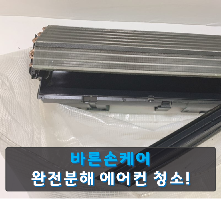 바른손케어 이미지