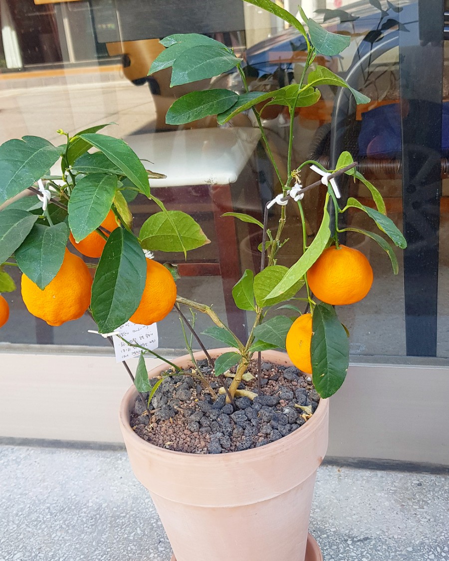 소소한다락방 이미지