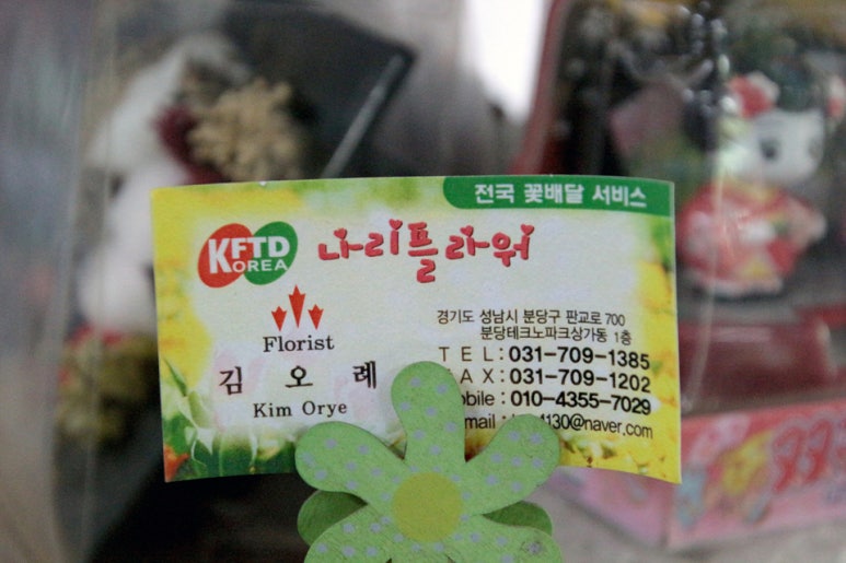 나리수선 이미지