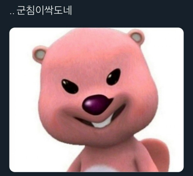 풍성양 이미지