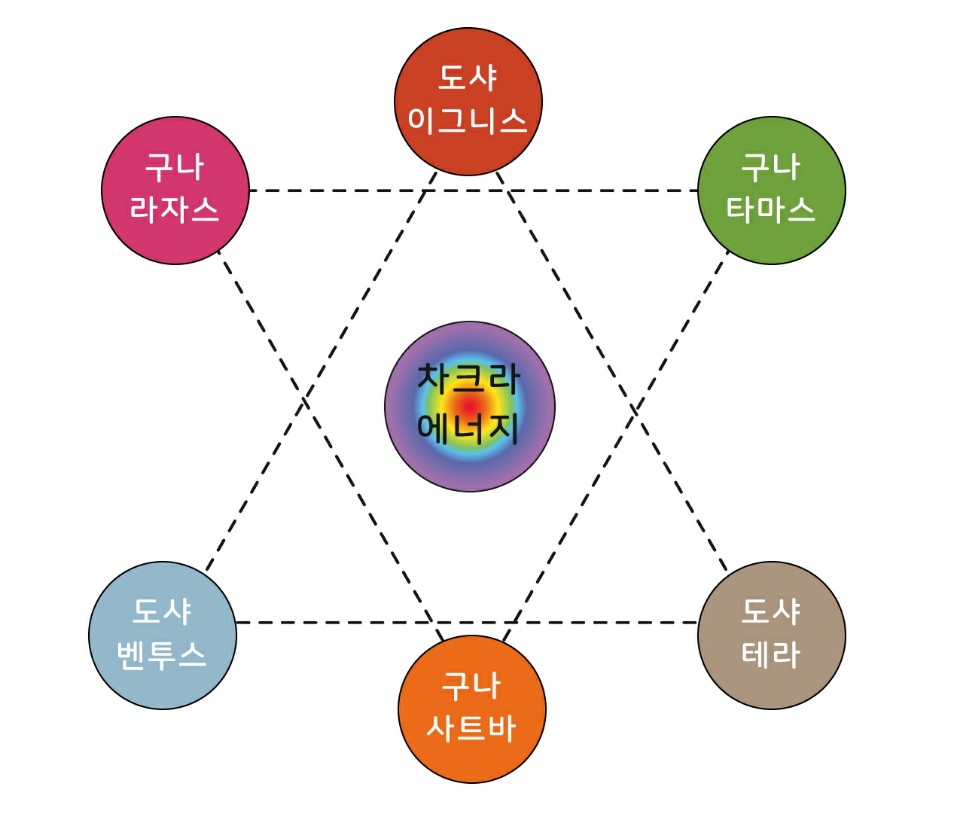 (주)코코뷰티 이미지