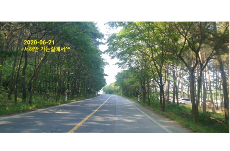 겨울연가펜션 이미지