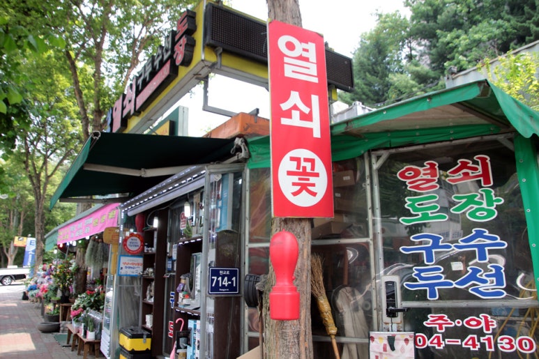나리수선 이미지