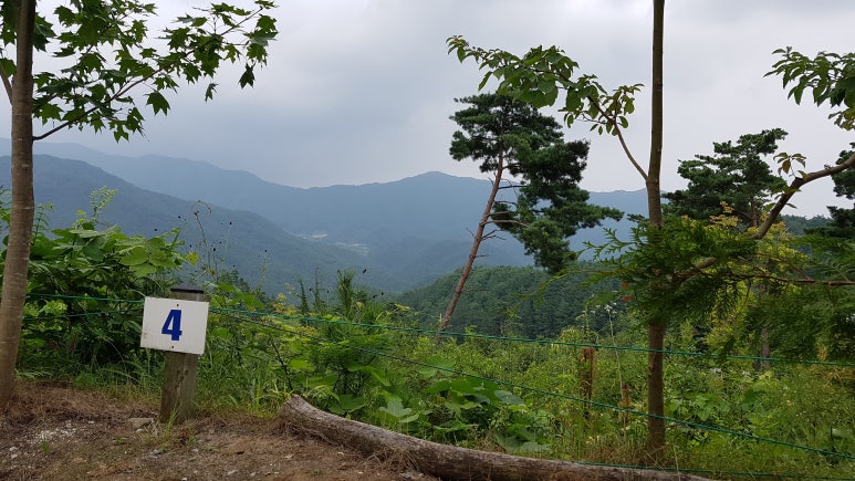 산꼴캠핑장 이미지